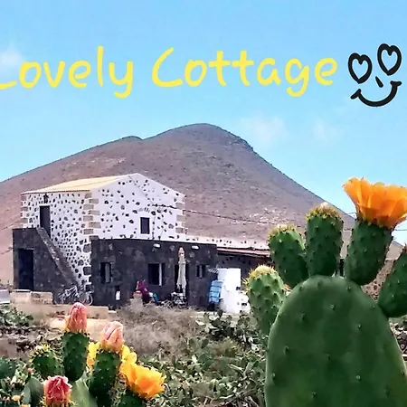 Lovely לה אוליבה
